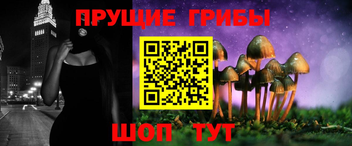 Псилоцибиновые грибы ЛСД Зима